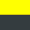 anthrazit | gelb
